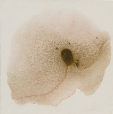 LORTHE Lumi