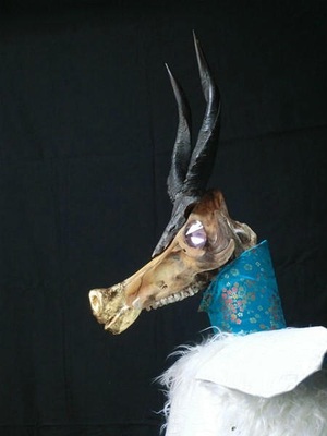 PERROT Cyrill