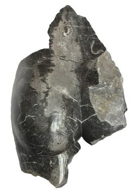 MONTRÉER Jean-Jacques 